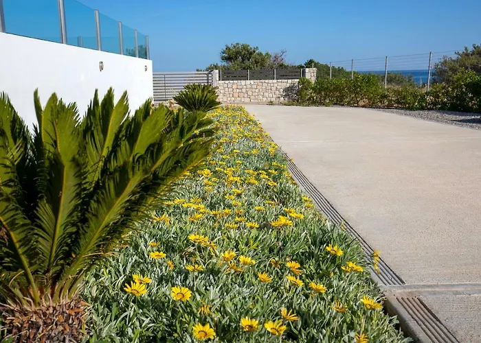 Aegean Horizon Beachfront Gennadi