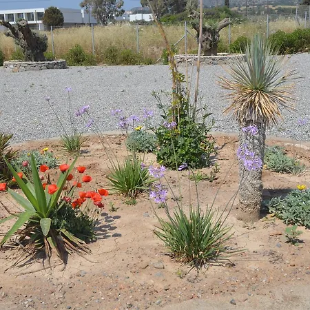 Aegean Horizon Beachfront גנאדי